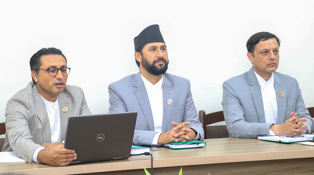 रास्वपाको कार्यवाहक सभापति अर्याल वा वाग्ले?, विधानमा यस्तो छ व्यवस्था