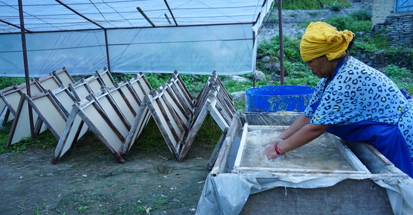 नेपाली कागज उद्योग सञ्चालन भएपछि लोक्ताको सदुपयोग