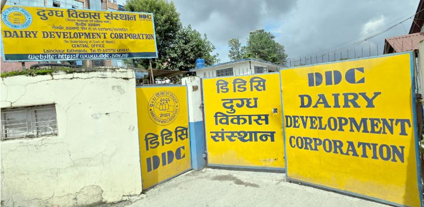 सहकारी संस्थाबाट मात्र दुध लिने डिडिसीको निर्णयले किसानको हितमा, मनलागी मच्चाउने निजी फर्म तनावमा !