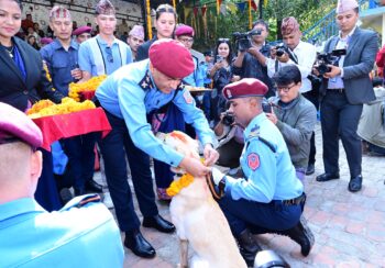 तस्बिरमा हेर्नुहोस् नेपाल प्रहरीको कुकुर तिहार