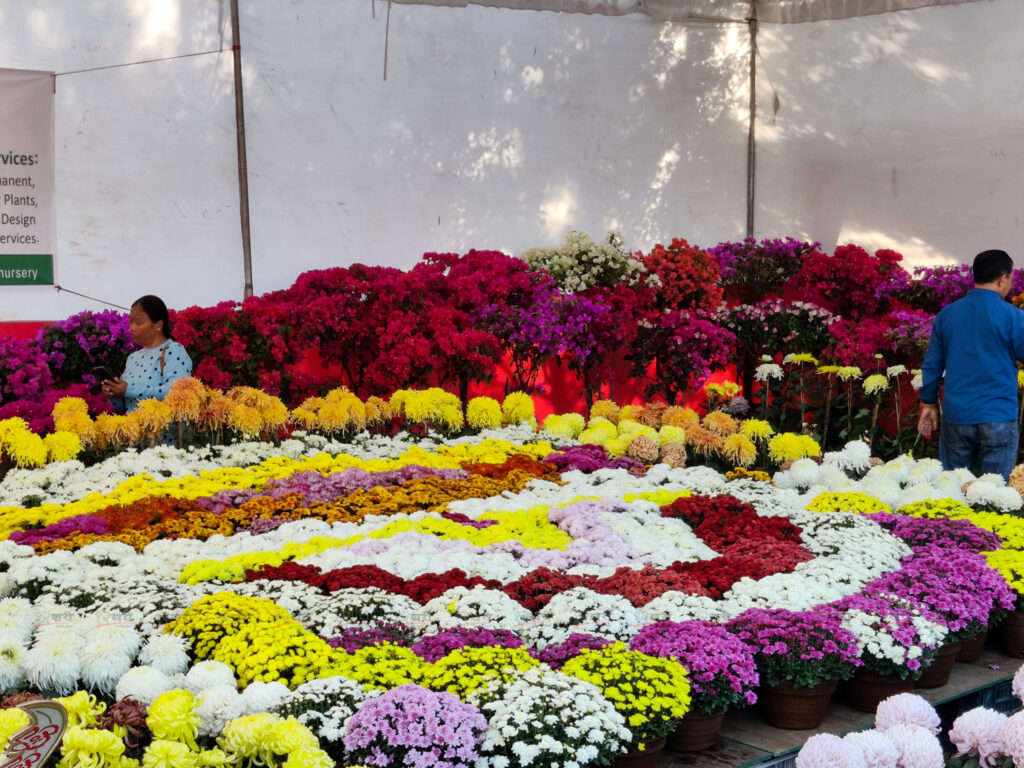 ललितपुरको जावलाखेलमा गोदावरी फूल प्रदर्शनी शुरू