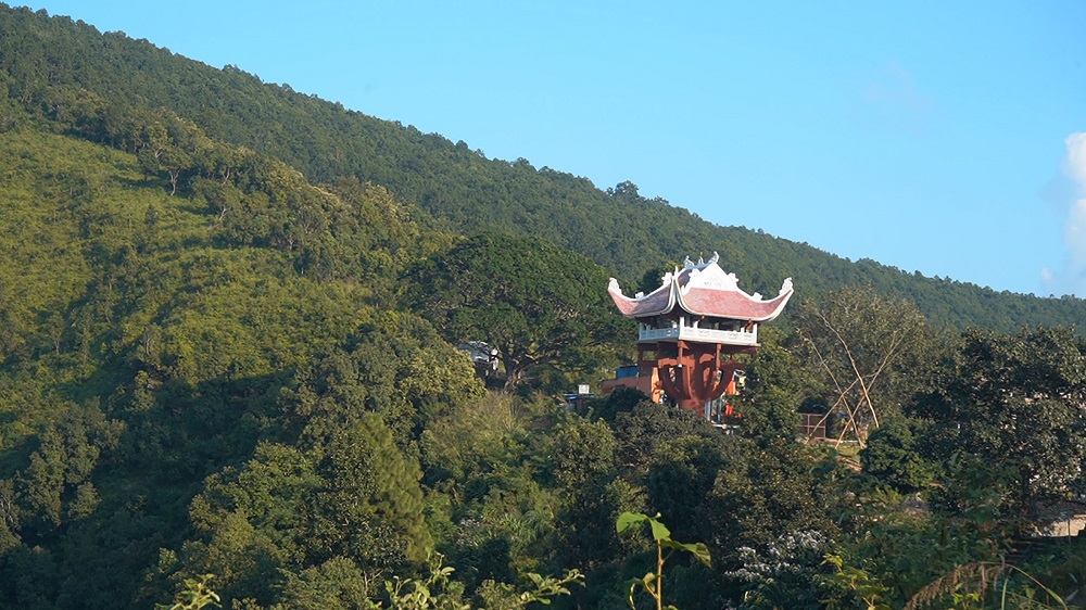 ट्रमा सेन्टर बनाउन ६४६ रुख काटिने