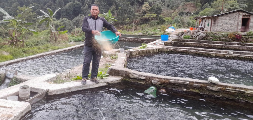 रेन्बो ट्राउट माछा बेचेर वार्षिक तीन करोड आम्दानी