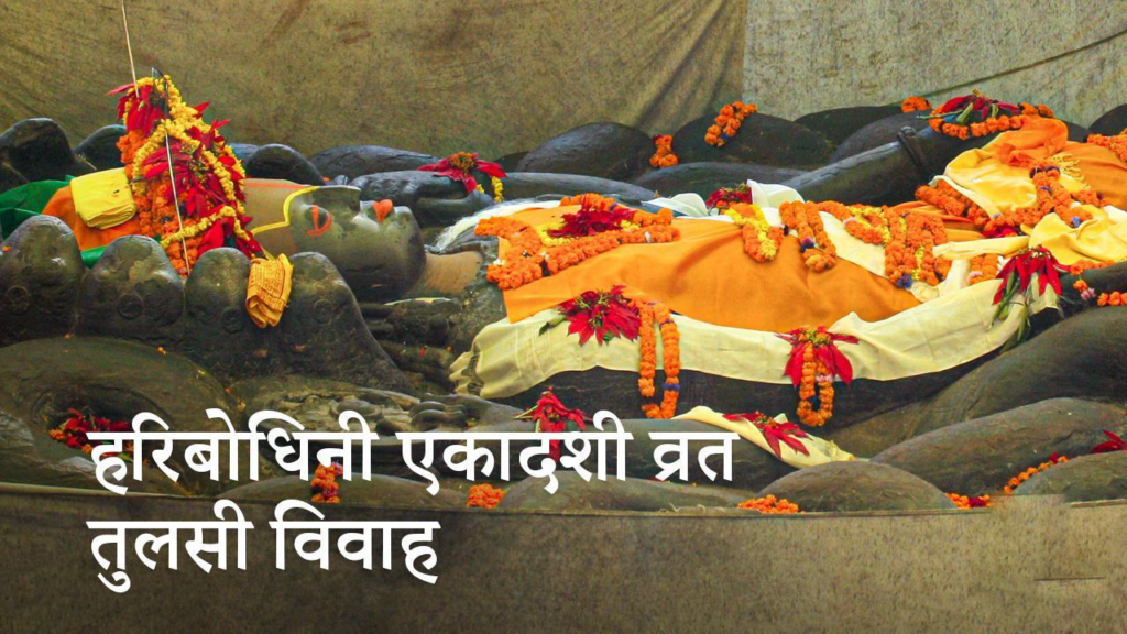 तुलसी र दामोदरको विवाह गरी हरिबोधिनी एकादशी पर्व मनाइँदै