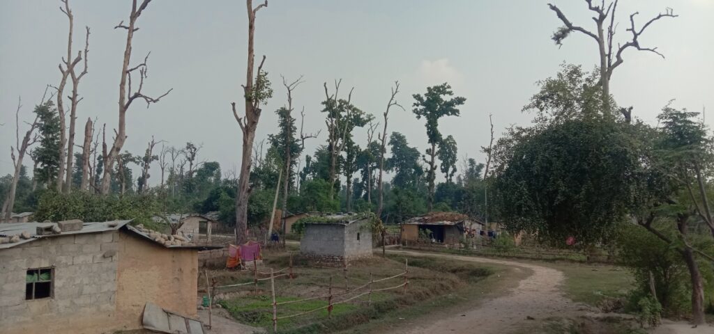 बीस वर्षदेखि सुकुम्बासीको प्रश्नः जग्गा कहिले पाइन्छ ?