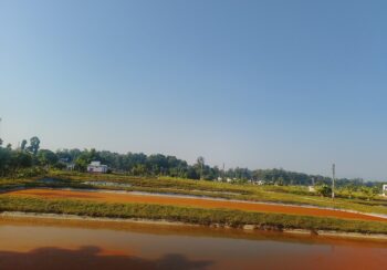 बाँकेमा दुई करोडभन्दा बढी माछाका भुरा उत्पादन