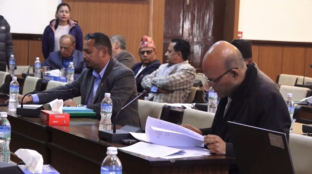 जलविद्युत क्षेत्रको विकासमा निजी क्षेत्रलाई प्रोत्साहन गर्नुपर्नेमा जोड