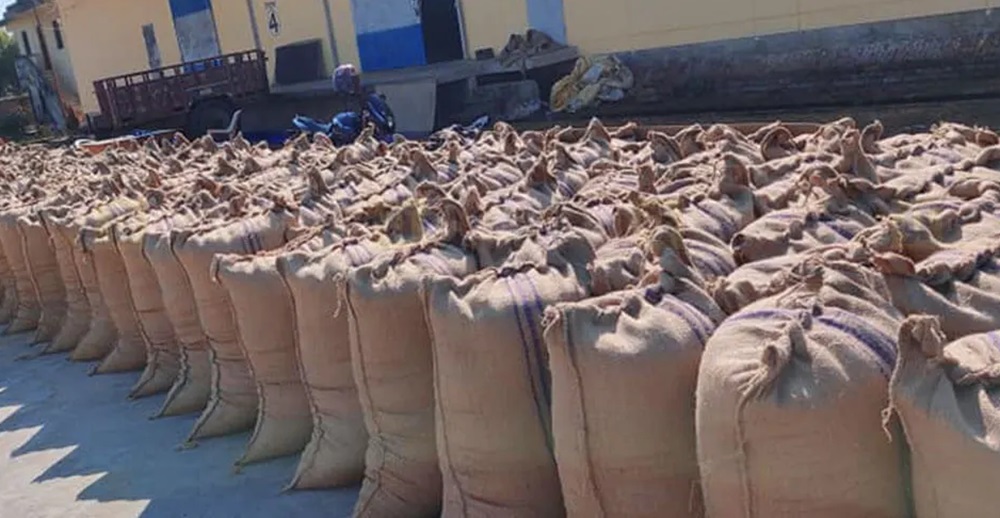 बाँकेमा ३२ हजार क्विन्टल धान खरिद