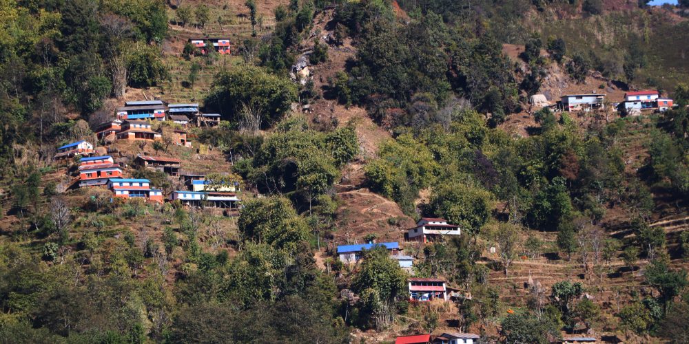 गाउँले सुविधा खोज्दै शहरमा, बस्तीमा वन्यजन्तुको रजाइँ’