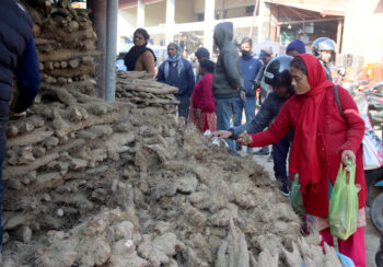तरूलको व्‍यापार बढ्यो (तस्बिरहरु)