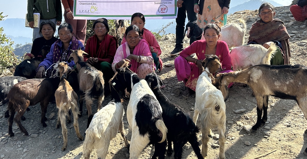 एकल चेपाङ महिलालाई बाख्रा वितरण