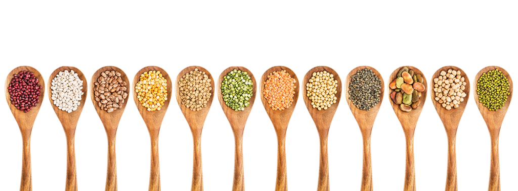 आज अन्तर्राष्ट्रिय दाल दिवस, अरबी चितुवा दिवस पनि आजै