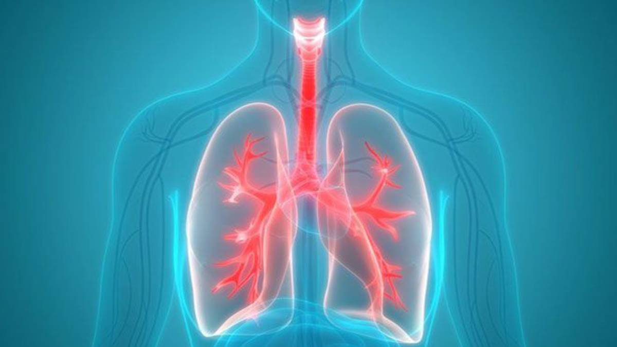 वायु प्रदूषणले धूम्रपान नगर्नेहरूमा फोक्सोको क्यान्सर बढाउँदै : अध्ययन