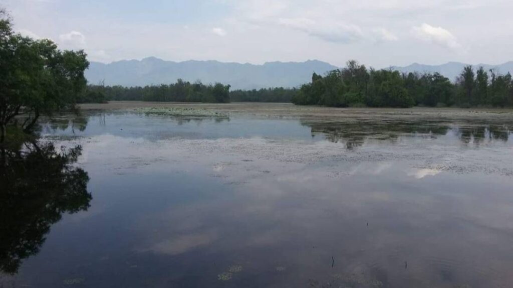 जलवायुको असर र अतिक्रमणको मारमा सिमसार