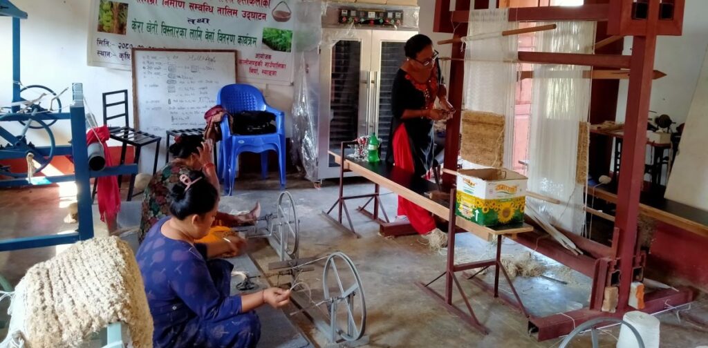 केराको ‘फाइबर’बाट हस्तकलाका सामग्री निर्माण