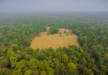 पर्सामा वन जोगाउनै मुस्किल