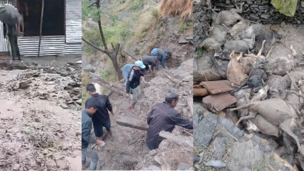 हुम्लामा बाढी र पहिरो, भेडीगोठका २६ बाख्रा पुरिए