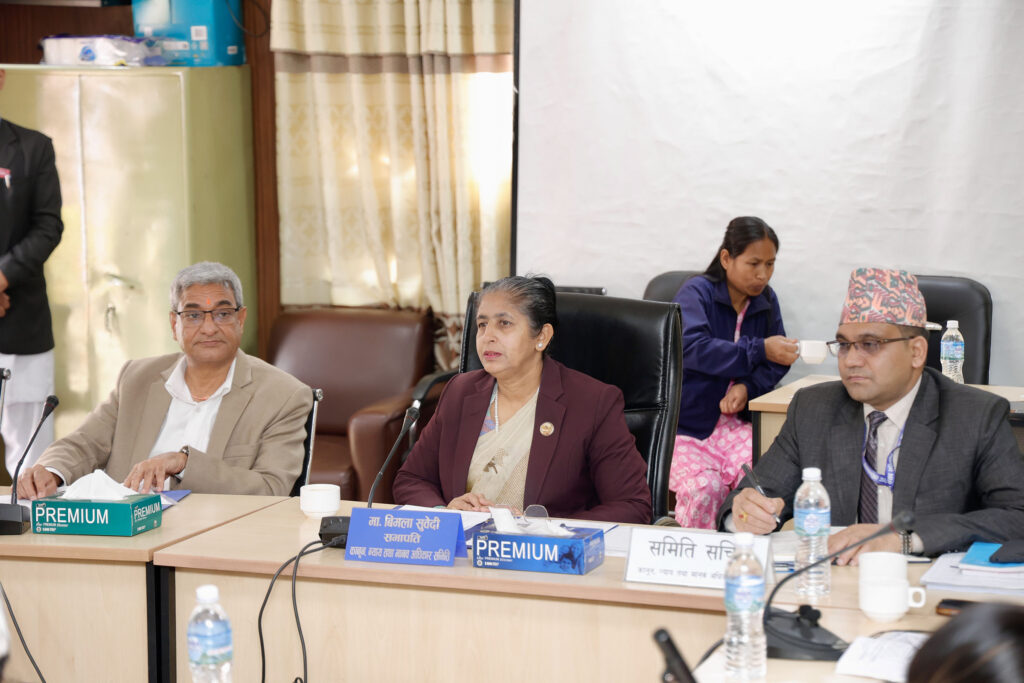 ज्ञानेन्द्र शाहलाई संसदीय समितिमा बोलाएर जवाफ माग गर्न प्रस्ताव, इतिहासमै दुर्लभ घटना हुने सम्भावना