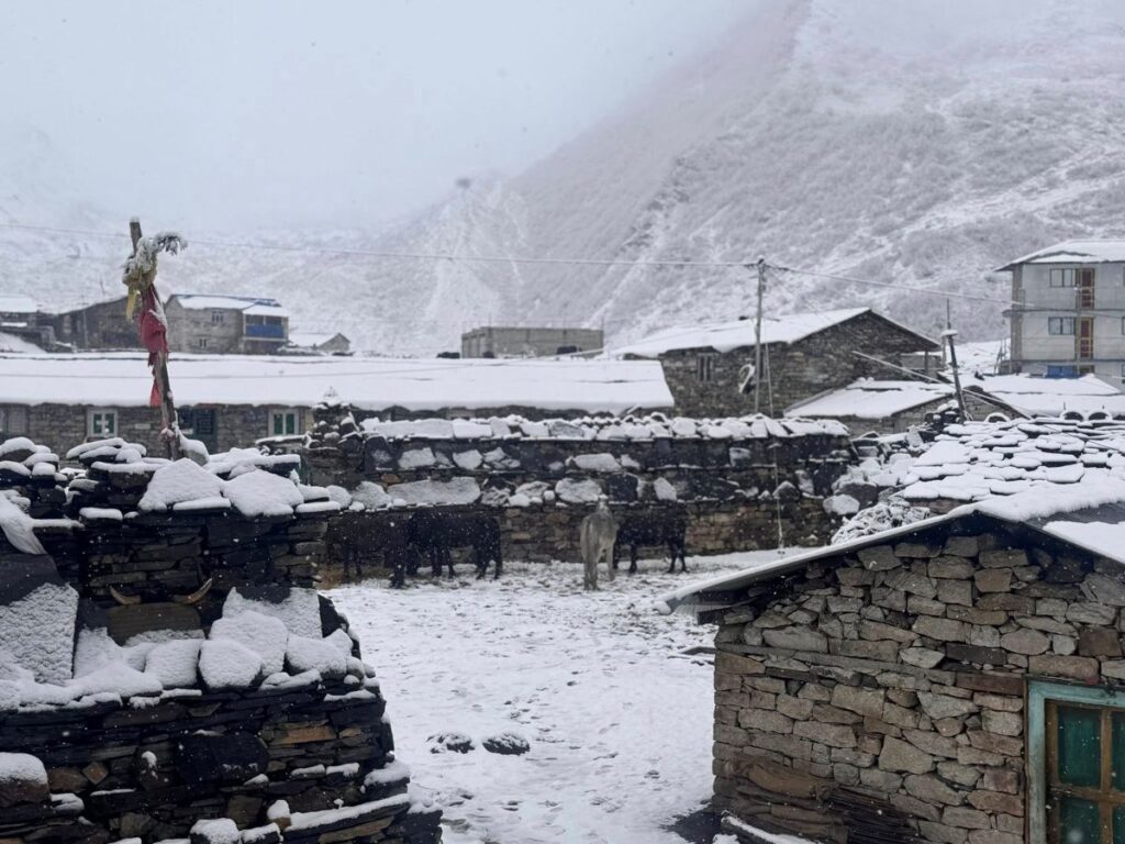 उत्तरी गोरखाको साम्दो क्षेत्रमा भारी हिमपात