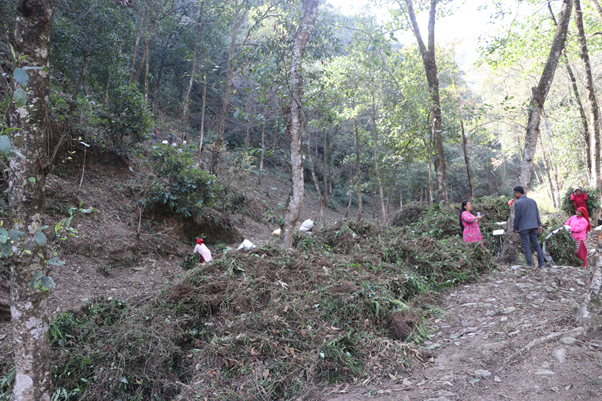 जैविक मल उत्पादन गर्दै ठोट्नेखोला सामुदायिक वन