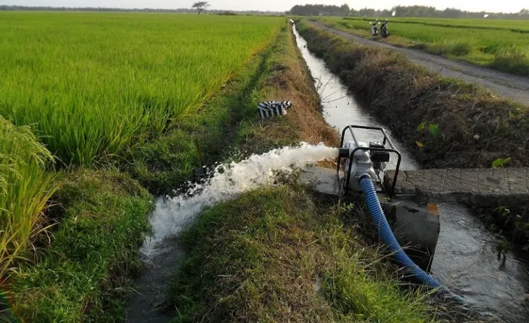 चुरे फेदीको पिल्लरी गाउँमा सिँचाइ आयोजना