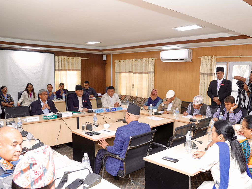 तीनकुने घटनाः सांसदहरुले भने– ‘पुलिस जेन्टलम्यान भएर बस्यो’, छानबिन आयोगको माग