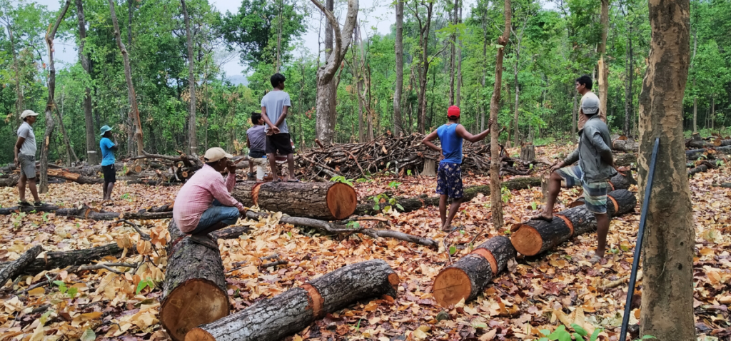 वन श्रमिकका समस्या : न बीमा न सुरक्षा