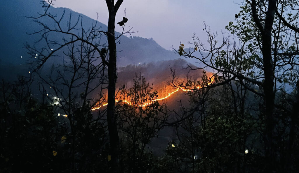 तनहुँमा डढेलो नियन्त्रणमा चुनौती, चैतयता १६२ हेक्टर वन सखाप
