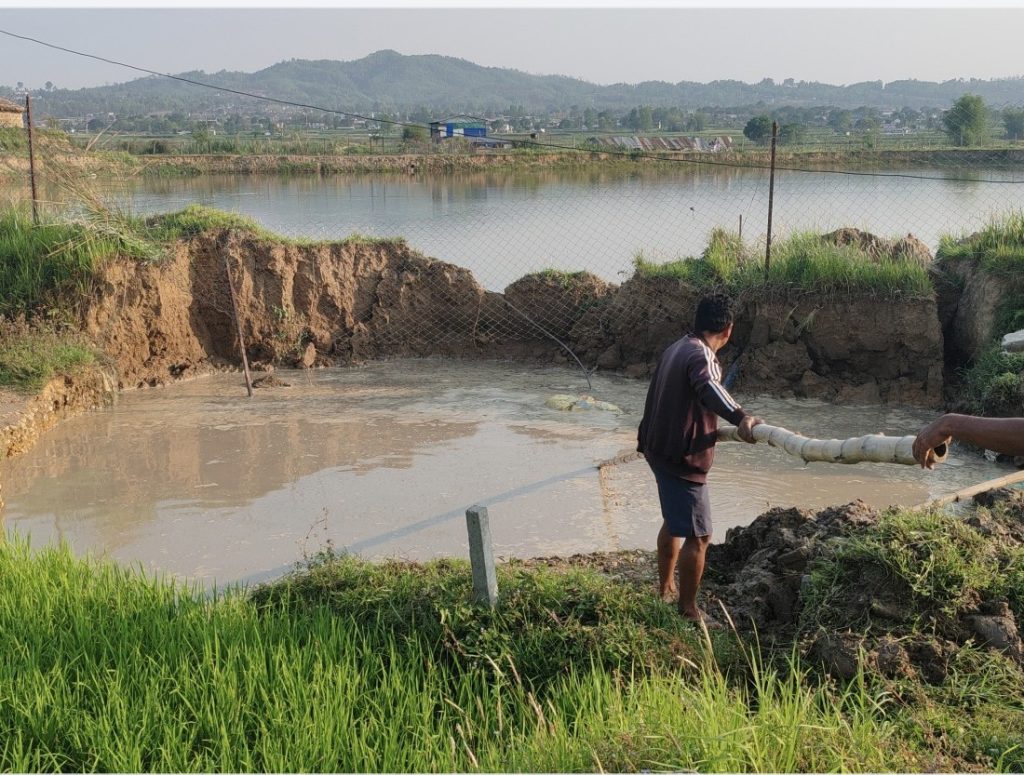 हेटौंडामा सडक भासिँदा माछा बोक्ने पिकअप जमिनमुनि पुरियो