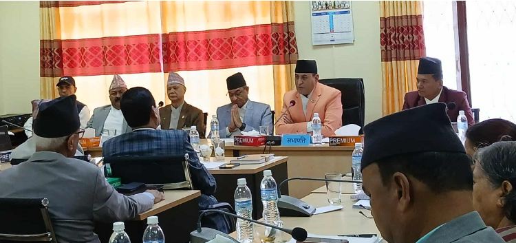 निजामति विधेयकमा ‘कुलिङ पिरियड’ दुई वर्ष राख्नुपर्नेमा सांसदहरूको जोड