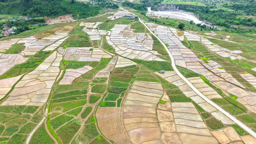 ‘अझै मनसुन सक्रिय नहुँदा अपेक्षाकृत रोपाइँ हुन सकेन’