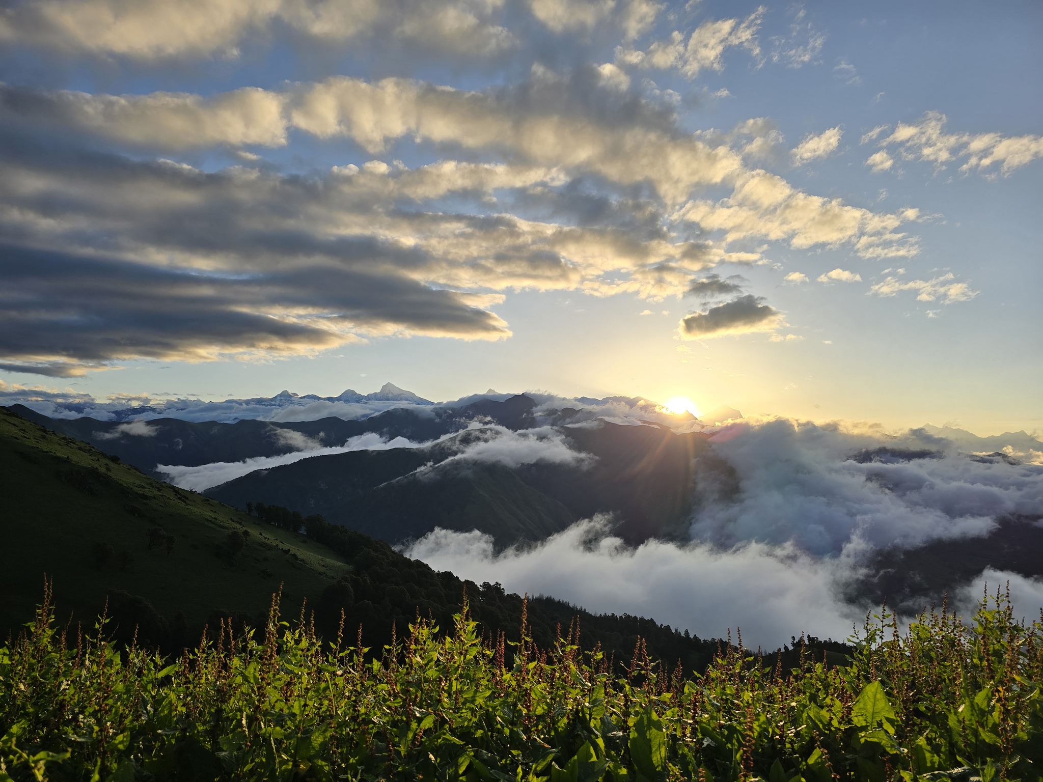 देशका अधिकांश भागमा आज मौसम सफा रहने