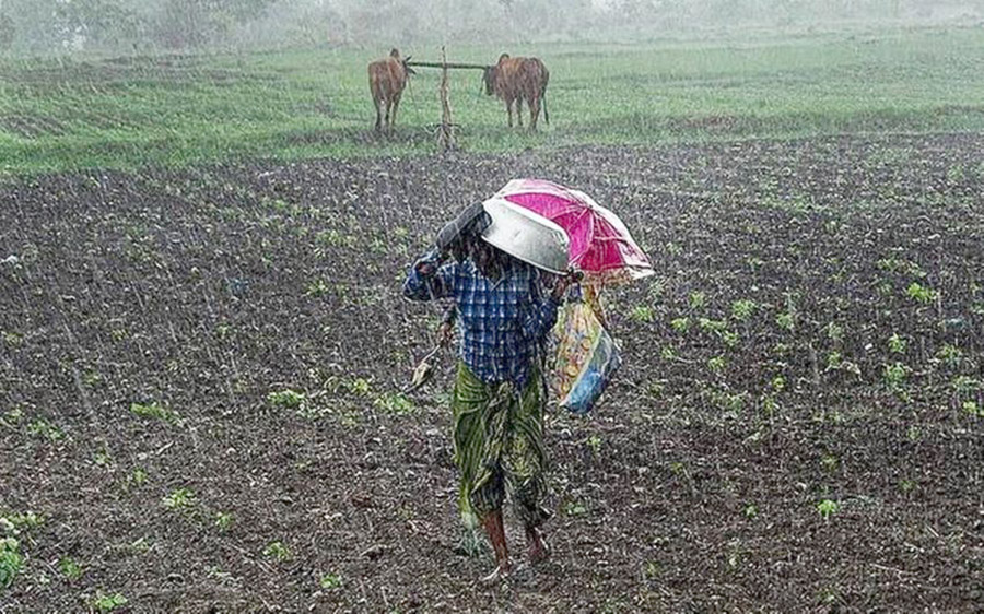 पानी परेपछि पर्साका किसानमा खुशी