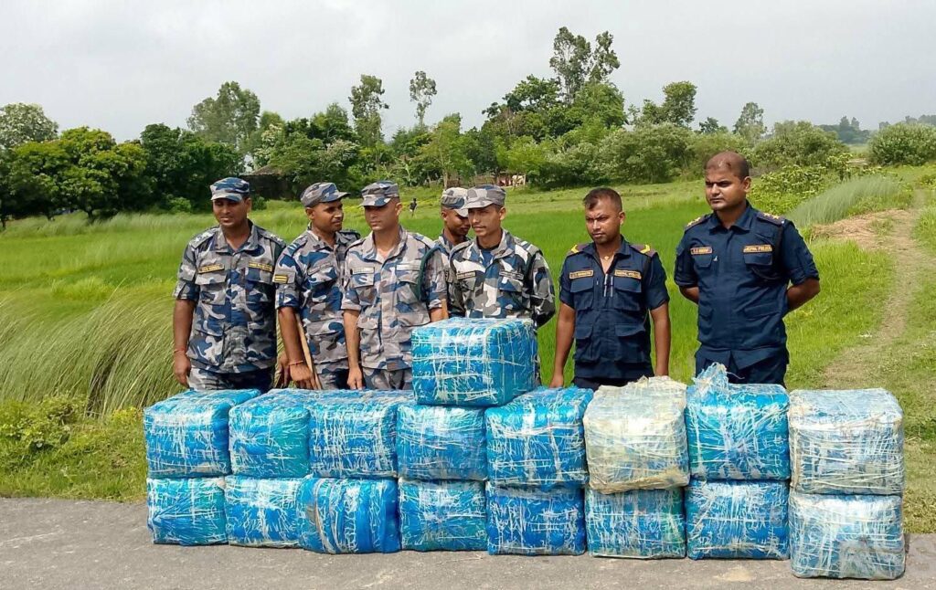 सप्तरीको पातोबाट ३९६ किलो गाँजा बरामद