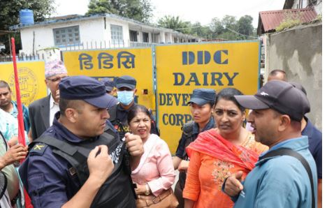 दूधको भुक्तानी माग्दै किसान सडकमा, प्रहरीसँग झडप