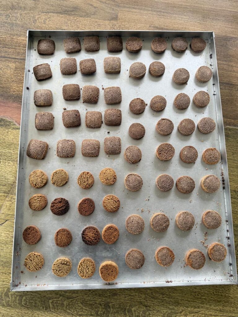 कोदोको बिष्कुट उत्पादन गर्न उद्योग स्थापना