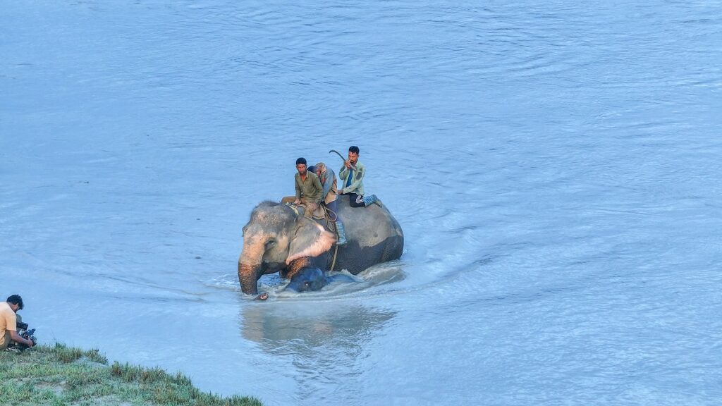 तस्बिरमा हेर्नुस् बर्दिया राष्ट्रिय निकुञ्जको आकर्षण