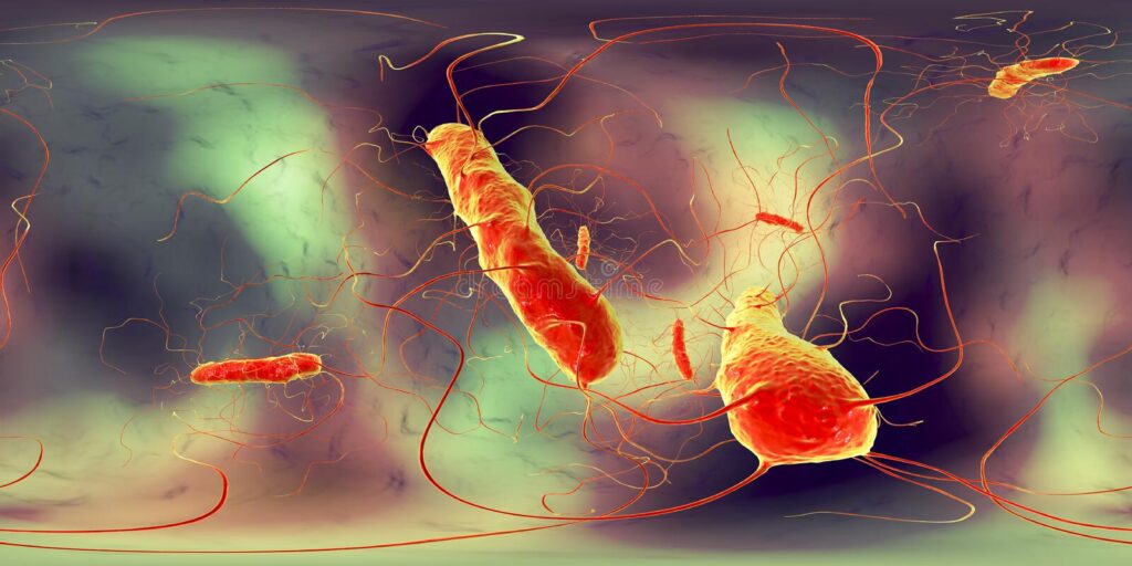 वीरगञ्जमा हैजाका बिरामी भेटिए, सतर्कता अपनाउन अनुरोध