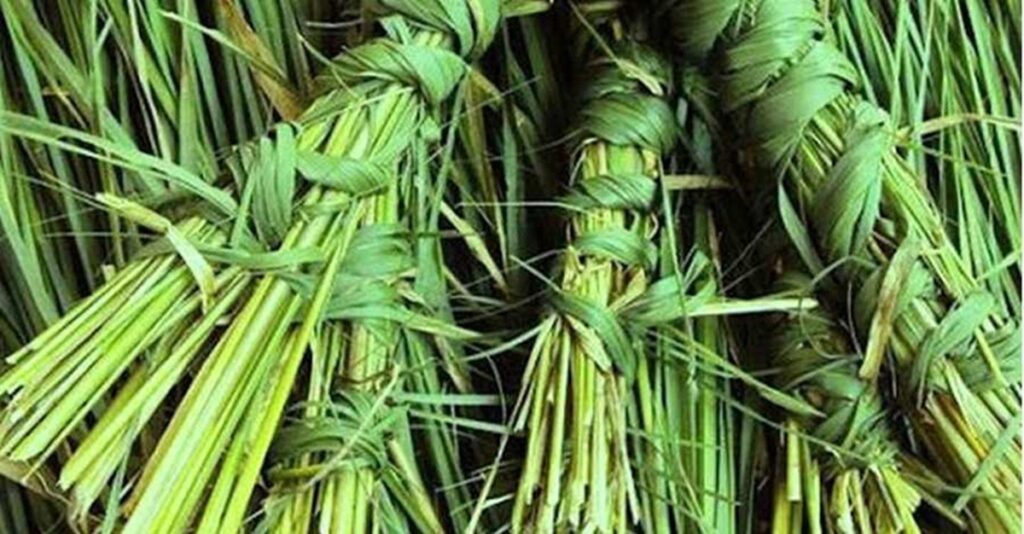 मिथिलामा ‘कुशअमबसीया’ पर्व मनाइँदै