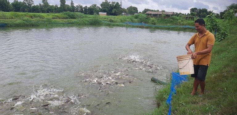 अवैध रूपमा भित्रिने माछाका कारण किसान समस्यामा