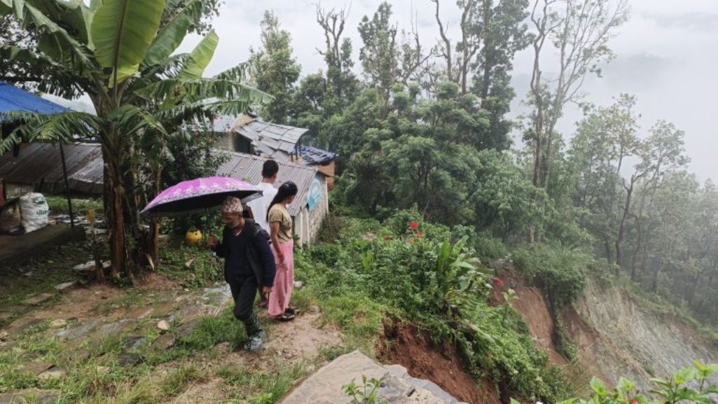 पहिरो रोकथाम गर्न ‘बायो इञ्जिनियरिङ’ प्रविधि