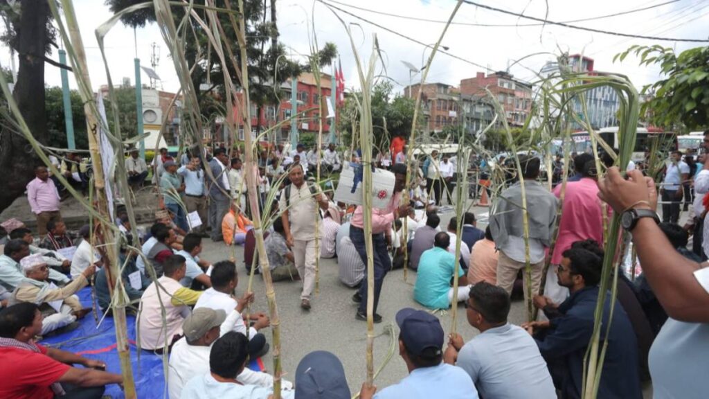 उखु किसानलाई अनुदान निकासा, बिहीबारसम्म किसानको खातामा रकम जाने