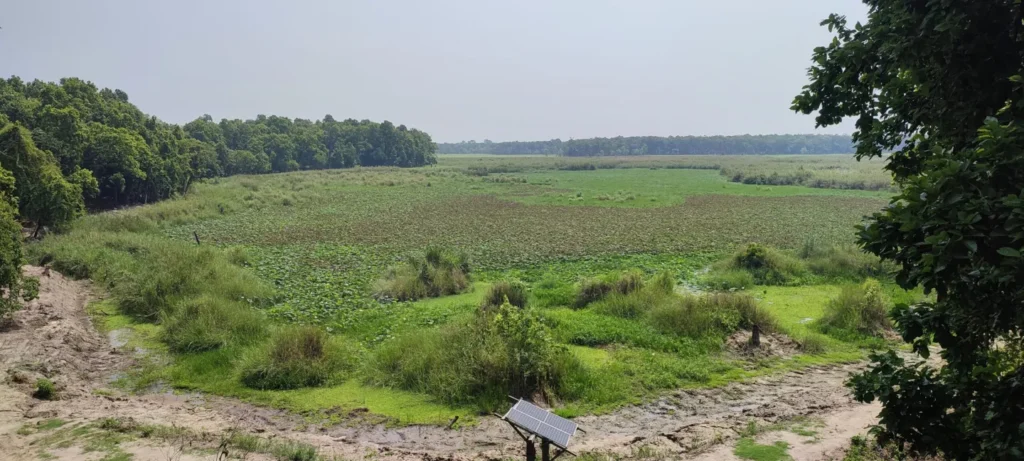 जलवायु परिवर्तनका दुष्प्रभावः सुक्दै शुक्लाफाँटा निकुञ्जका ताल