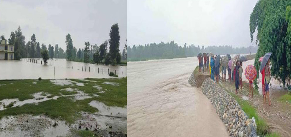 कञ्चनपुरमा बाढीको प्रकोप : दुई बीओपीसहित ५२ घर डुबानमा