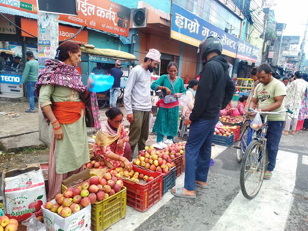 उपभोक्ताको रुचिमा कर्णालीको स्याउ