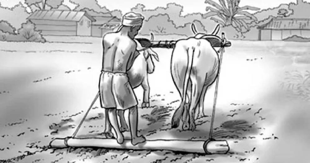 मुक्तिका १७ वर्षः अझै पूरा भएन मुक्त हलिया पुनःस्थापना