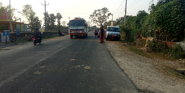 संरक्षणका अभावमा हुलाकी सडक किनारका बिरुवा ओइलाए