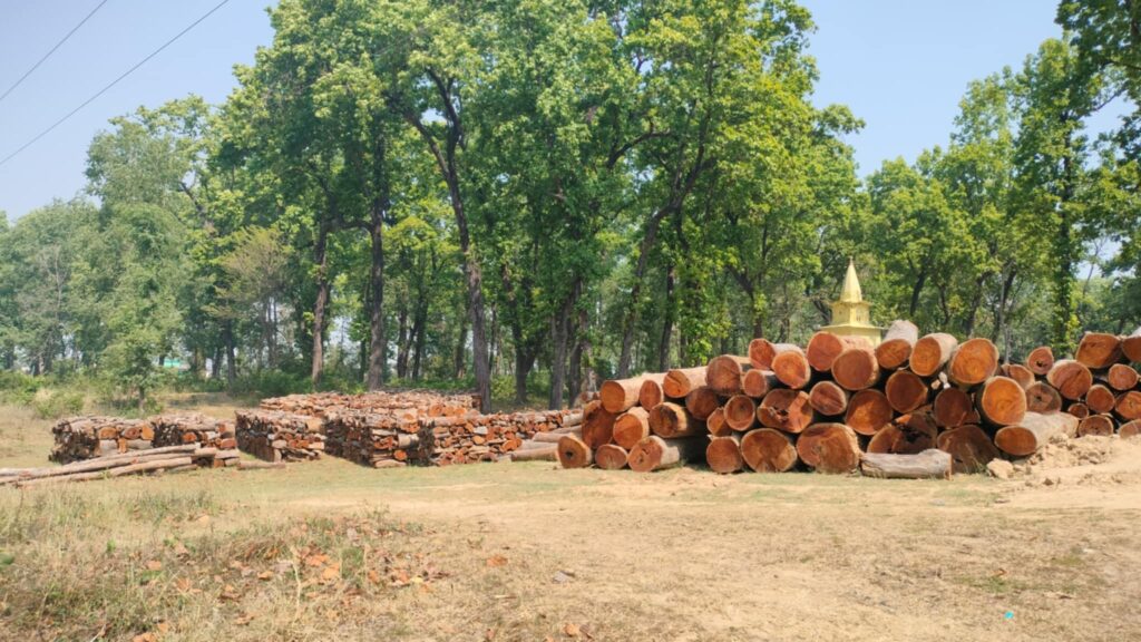 पुनर्निर्माणमा स्वदेशी काठलाई प्राथमिकता दिन आग्रह