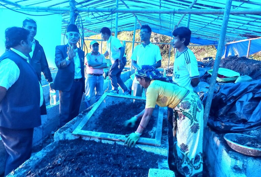 पातपतिङ्गरबाट जैविक मल उत्पादन