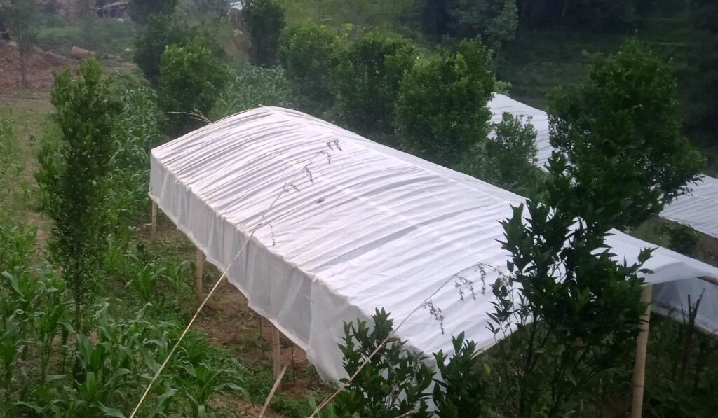 कृषिमा भविष्य देख्नेका लागि नेपालमैँ उच्च संभावना